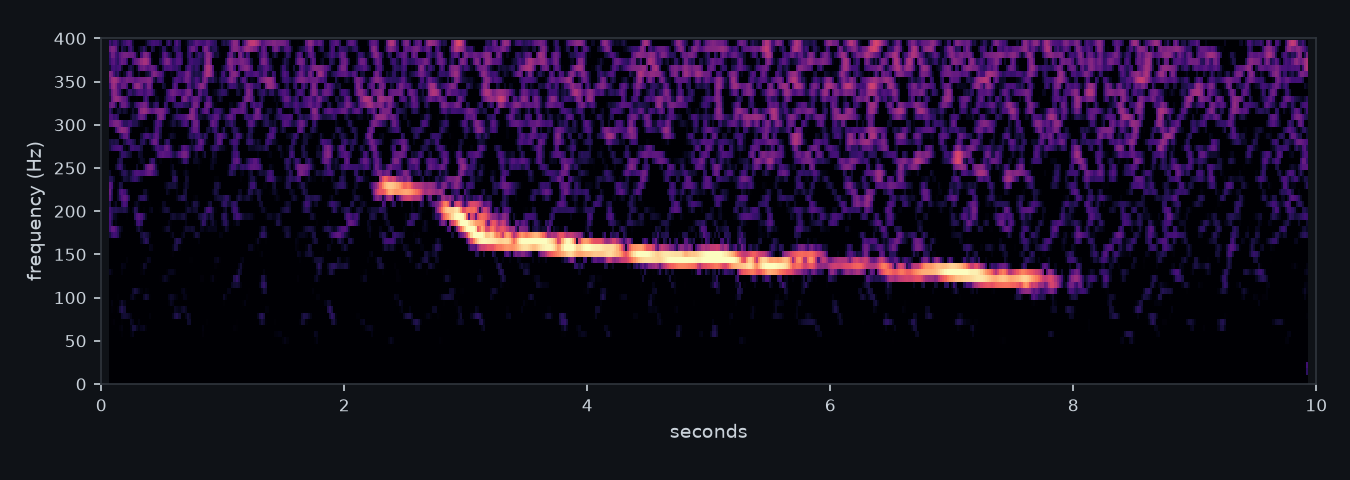 Spectrogram of a right whale moan: a bright line starting near 230 Hz about 2.3 seconds in, gliding down to about 120 Hz just before eight seconds.